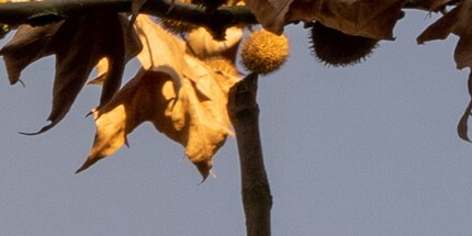 f/8 angolo dell'immagine