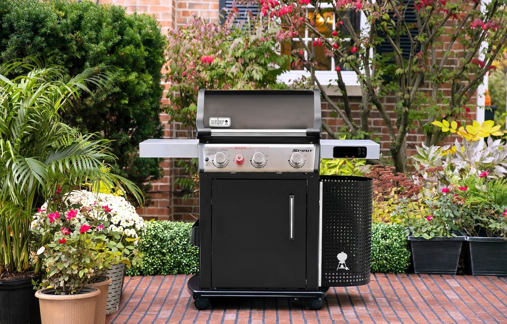 New Gas Grills By Weber Galaxus