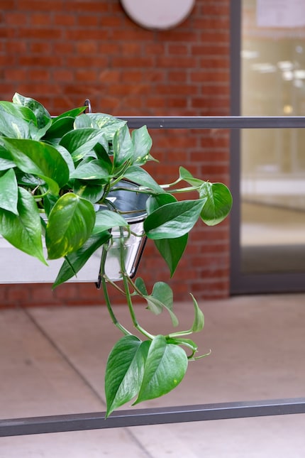 Une tringle à rideaux peut faire office de support et remplacer une balustrade.