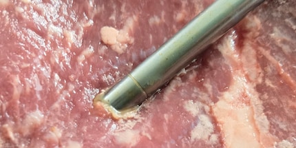 Die Sonde ist ziemlich dick und darf nur bis zum Ring ins Fleisch gesteckt werden