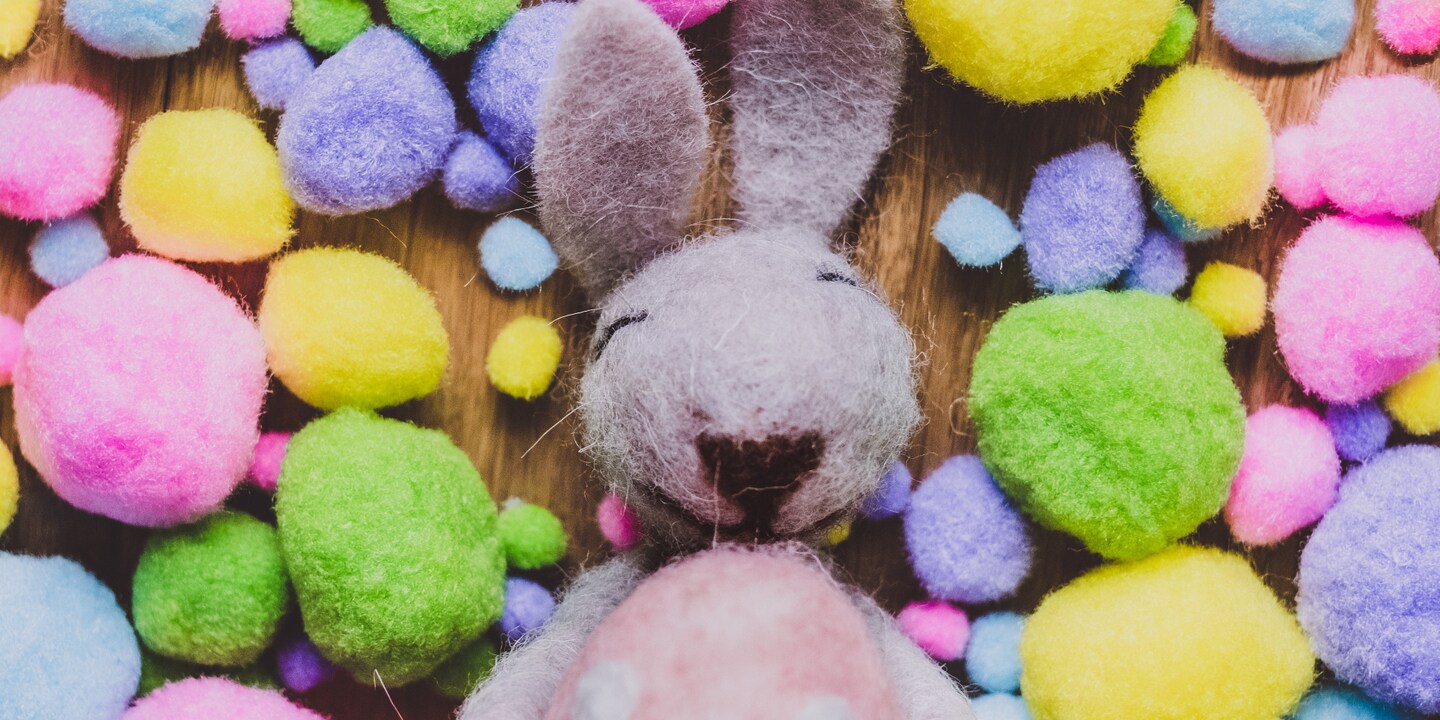 Boing boing : c'est le lapin qui nous gâte