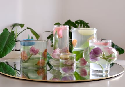 Remplissez les vases d’eau fraîche pour que l'eau redevienne limpide.