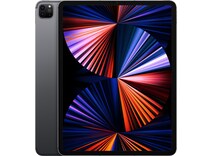 iPad Pro 2021 (5. Gen) (5G, 12.90 ", 256 GB, Space Grey)