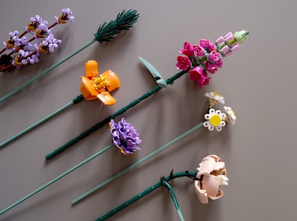 Blumen vom Lego-Markt für den Single-Markt.