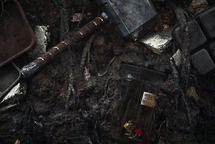 L'histoire de la grenouille Thor...
