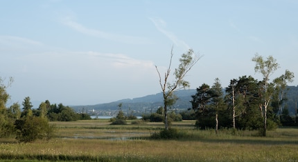 Immagine RAW senza ottimizzazioni, 100 ISO