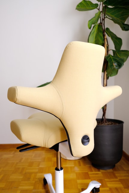 Le langage des formes et la fonctionnalité distinguent Capisco de la foule de chaises de bureau.