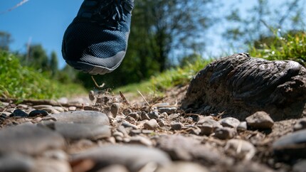 In den Farben dezent, im Tragegefühl angenehm: Obenrum habe ich am Trail Glove 6 nichts auszusetzen.