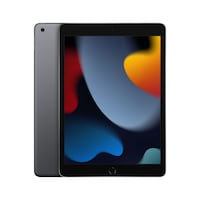Apple iPad 2021 (9. Gen) (nur WLAN, 10.20", 256 GB, Space Grey)