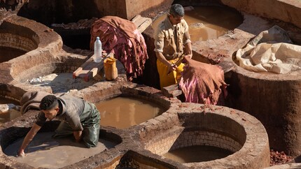 Una conceria di pelle in Marocco.