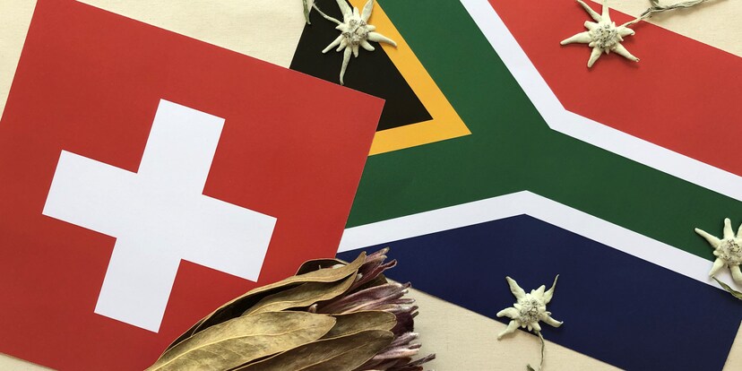 Tales of an ex-expat: from Switzerland to South Africa and back again