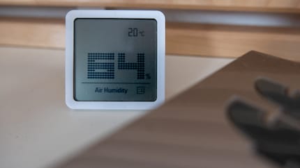 Ein gewohntes Bild, wenn der Luftentfeuchter nicht läuft.