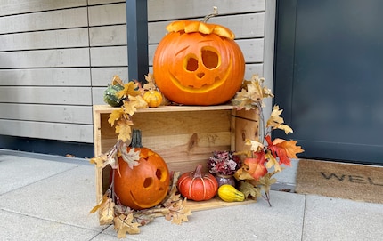 Durchhalten bis Halloween: Wie lange die Kürbis-Deko knackig bleibt, wird sich zeigen.