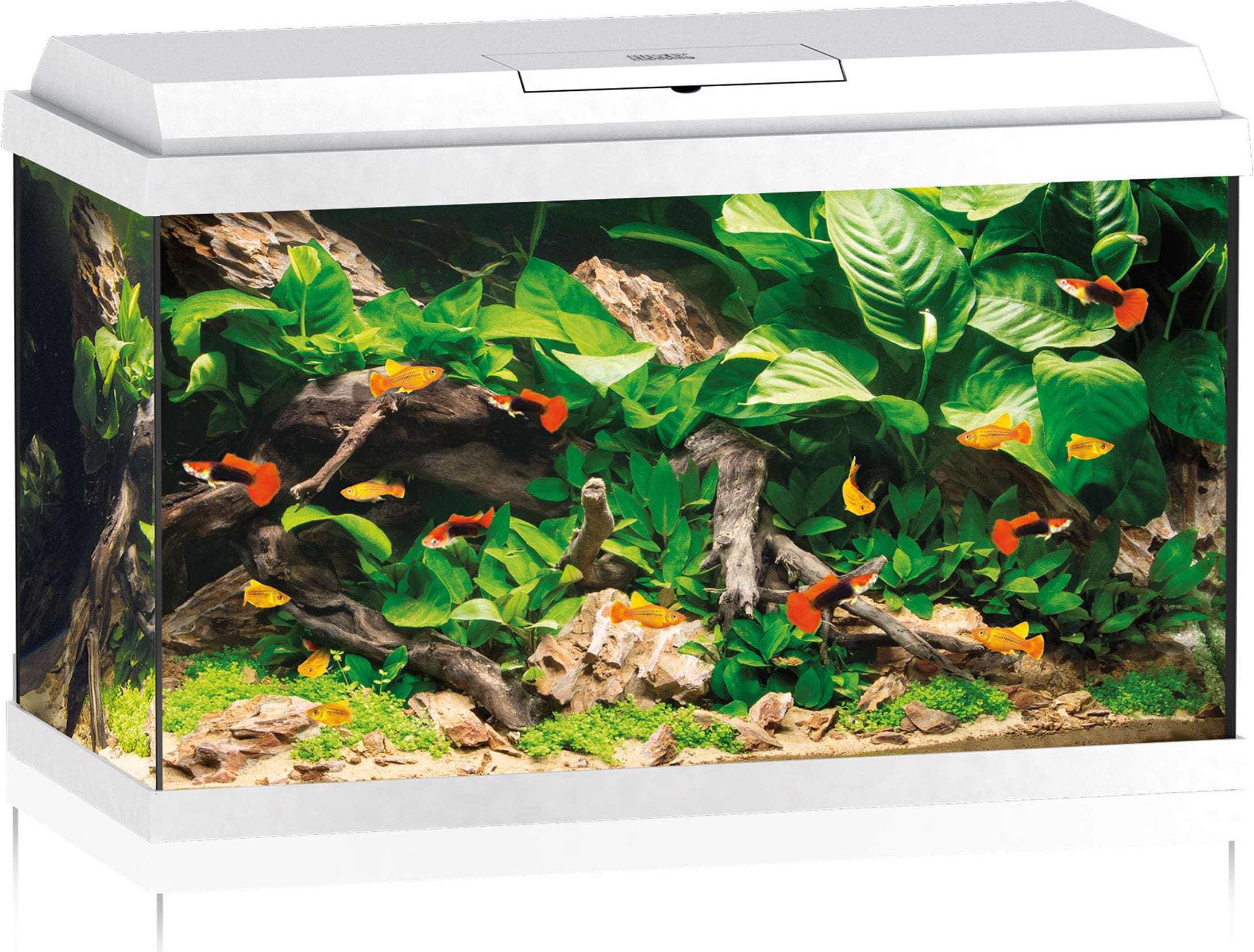 Juwel Aquarium Primo (70 l) kaufen