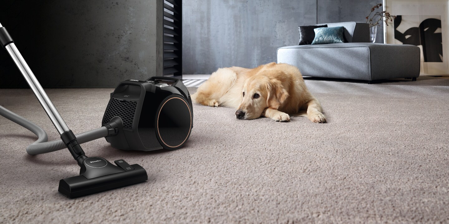 Boost CX1 : le plus petit aspirateur sans sac de Miele