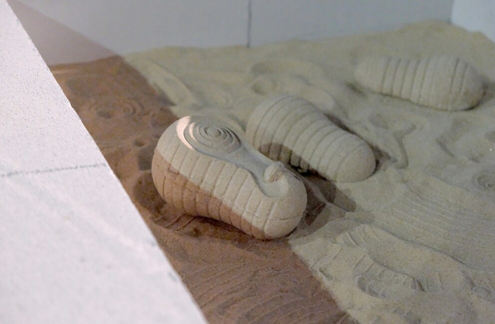 Schliesst den ökologischen Kreislauf: Sandel-Sachen aus Sand.