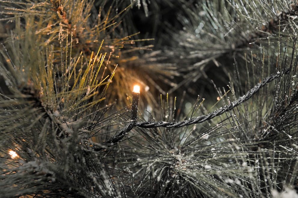 Weihnachtsbaumbeleuchtung. Bild: Konstsmide