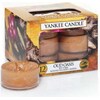 Yankee Candle Tea lights (8.90 g)