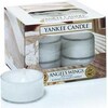 Yankee Candle bougie chauffe-plat (8.90 g)