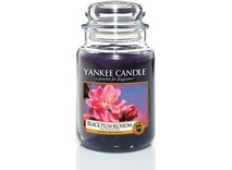 Grande jarre (623 g, Musc, Vanille, fleurs de prunier)