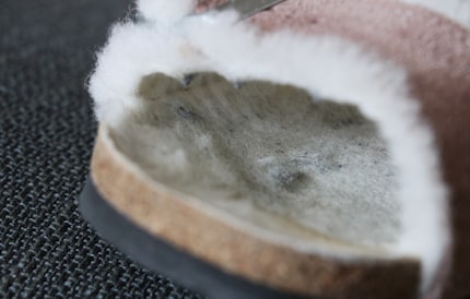Dimentica Swiffer, anche la pelliccia d'agnello è un eccellente magnete per la polvere.