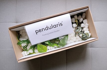 Il modulo Pendularis arriva in una scatola su misura.