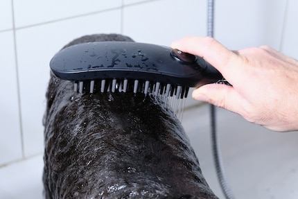 Hier ersichtlich: der Knopf, um zwischen den verschiedenen Strahl-Arten hin- und herzuwechseln.