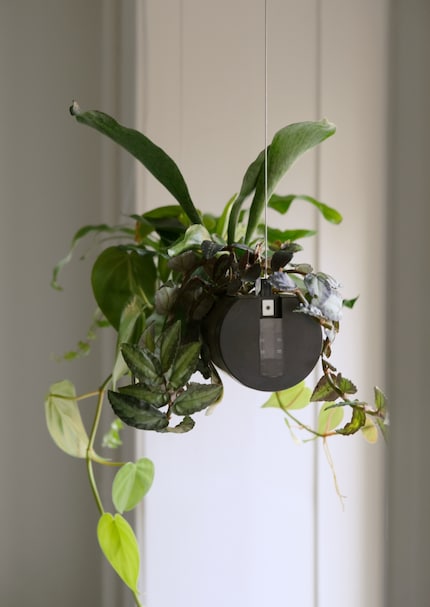 Il recipiente di alluminio fa anche da serbatoio dell'acqua.