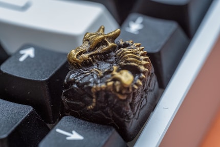 Le squelette du dragon me surveille de près quand je tape au clavier.
