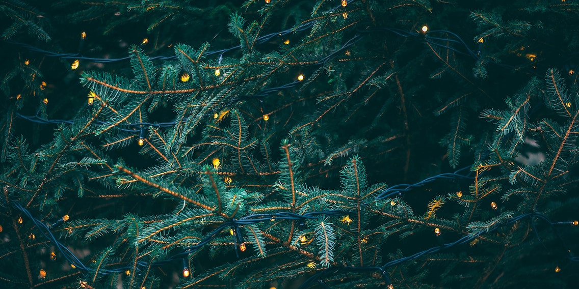 Perché accendiamo l'albero di Natale?