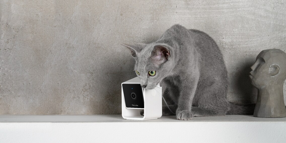 Petcube Pet Camera