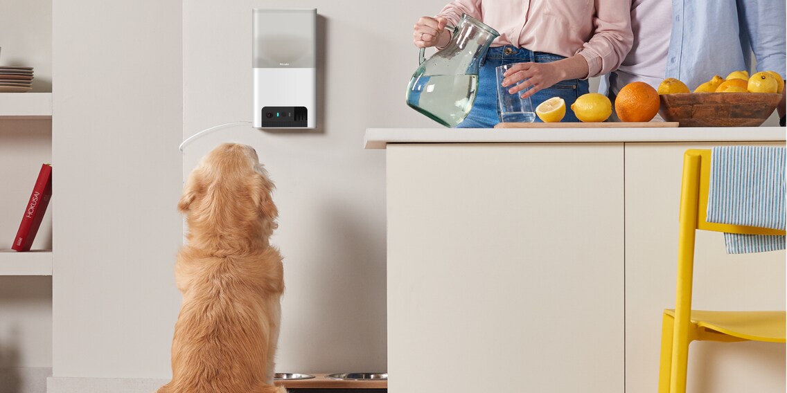 Telecamera per animali domestici Petcube con distributore di croccantini