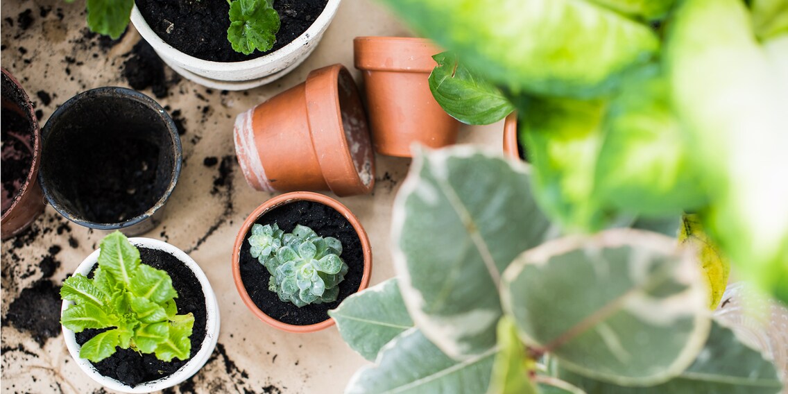 Urban Gardening – ein trendiger Garten auf dem Balkon