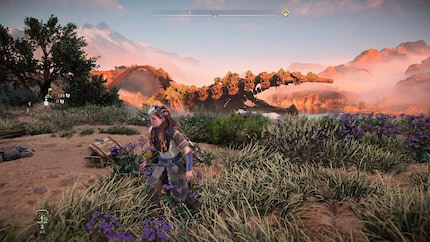 En mode « image », le jeu brille, mais fonctionne plutôt difficilement.