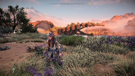 En « mode performance », le jeu est nettement plus fluide, mais les graphiques en pâtissent.