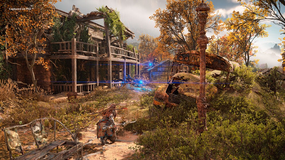 Aloy si troverebbe a suo agio tra i netturbini, perché raccoglie davvero tutto quello che trova a terra.
