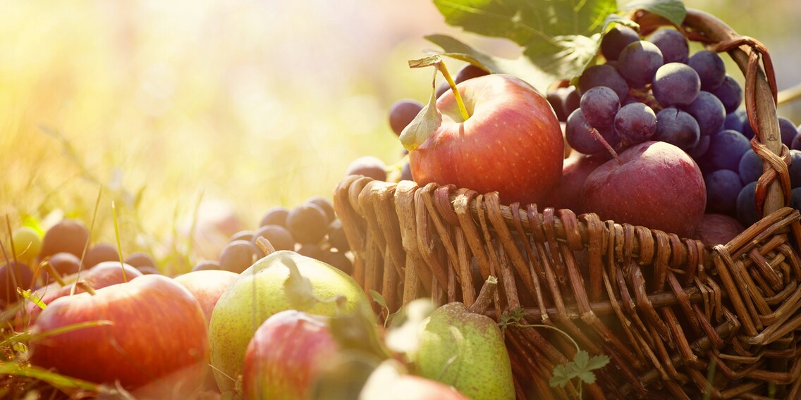 Gestärkt in den Tag – mit meinen persönlichen Frühstücksfavoriten
