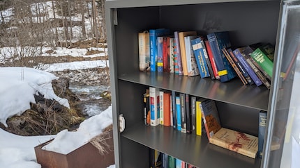 Libreria nel comune di Brand a Vorarlberg.