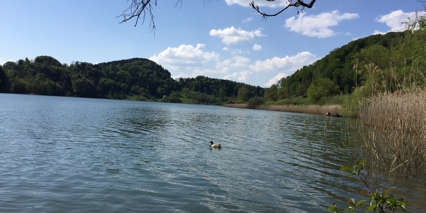 Lac Türlersee