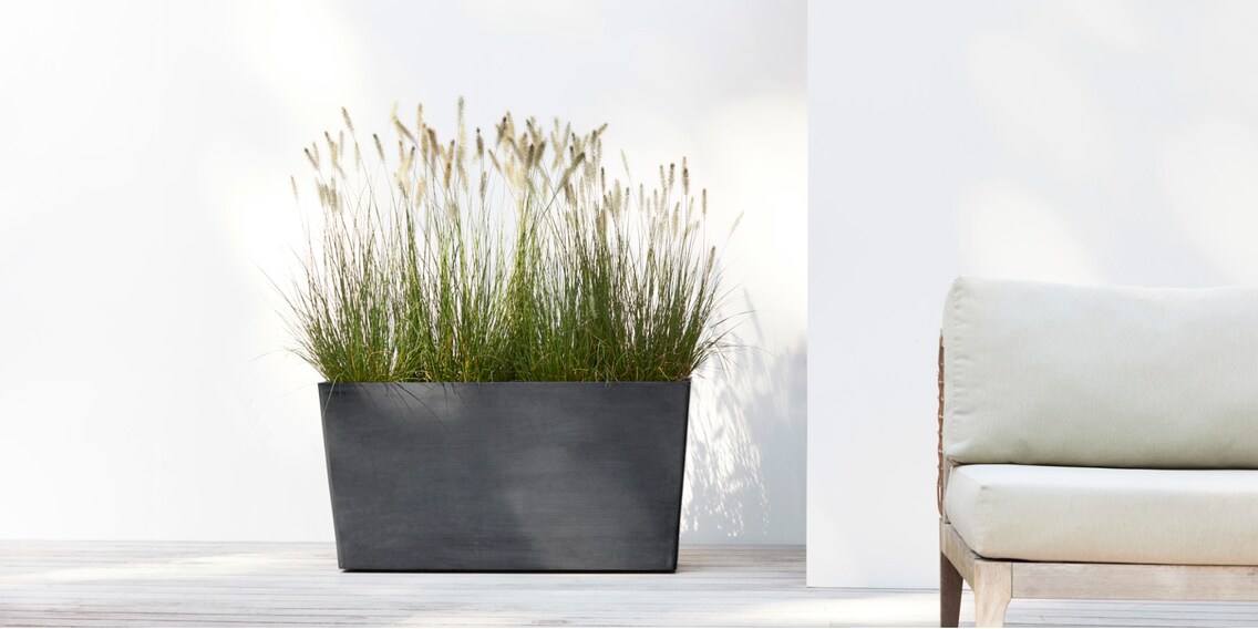 Giungla urbana sostenibile con Ecopot