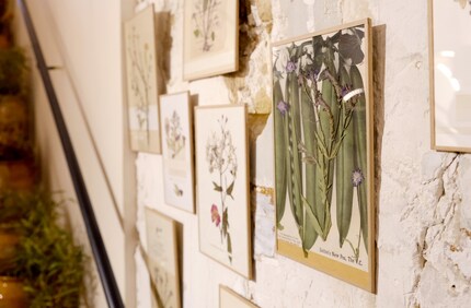 The contrast between the pressed flower stems and the illustration creates a totally new image.