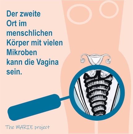 Puoi trovare fatti interessanti sull'argomento sull'account @themarieproject_ch