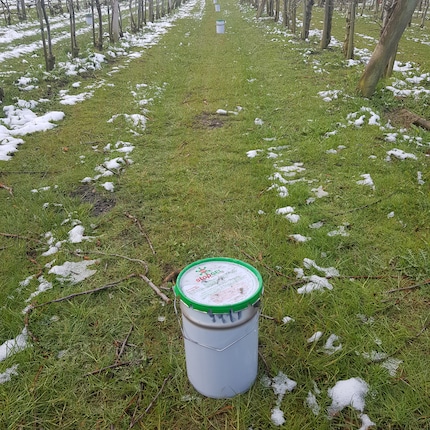 Environ 400 bougies de paraffine de ce type ont été réparties par mon frère dans son installation avant la nuit de gel.