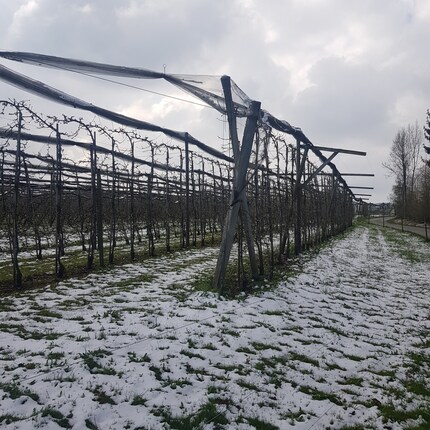 Nous sommes début avril et il y a aussi de la neige sur l'exploitation de mon frère.