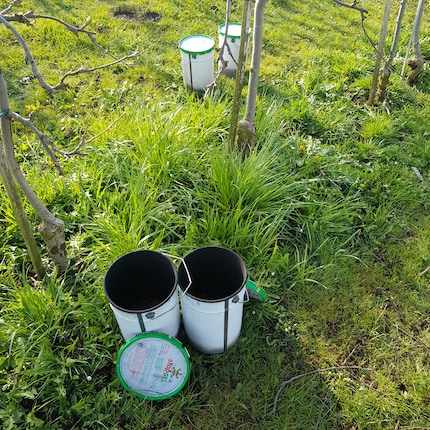 C'est ainsi que se présente la situation le matin. Les bougies déjà utilisées auparavant ont été consumées, les nouvelles bougies ont été éteintes prématurément.