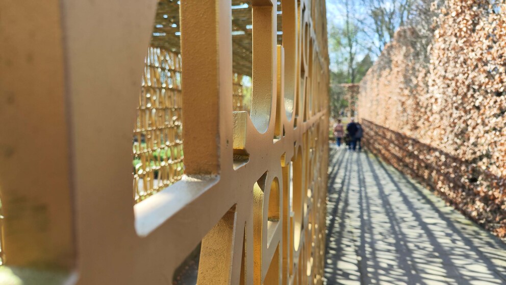 Hauptkamera: Bei gutem Licht lassen sich wirklich gute Aufnahmen mit dem Xiaomi 12 Pro aufnehmen.