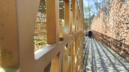 Hauptkamera: Bei gutem Licht lassen sich wirklich gute Aufnahmen mit dem Xiaomi 12 Pro aufnehmen.