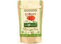 Minigarten Erdbeere (rot) (Früchtesamen)
