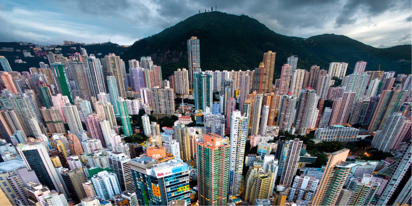 Urban Jungle #08