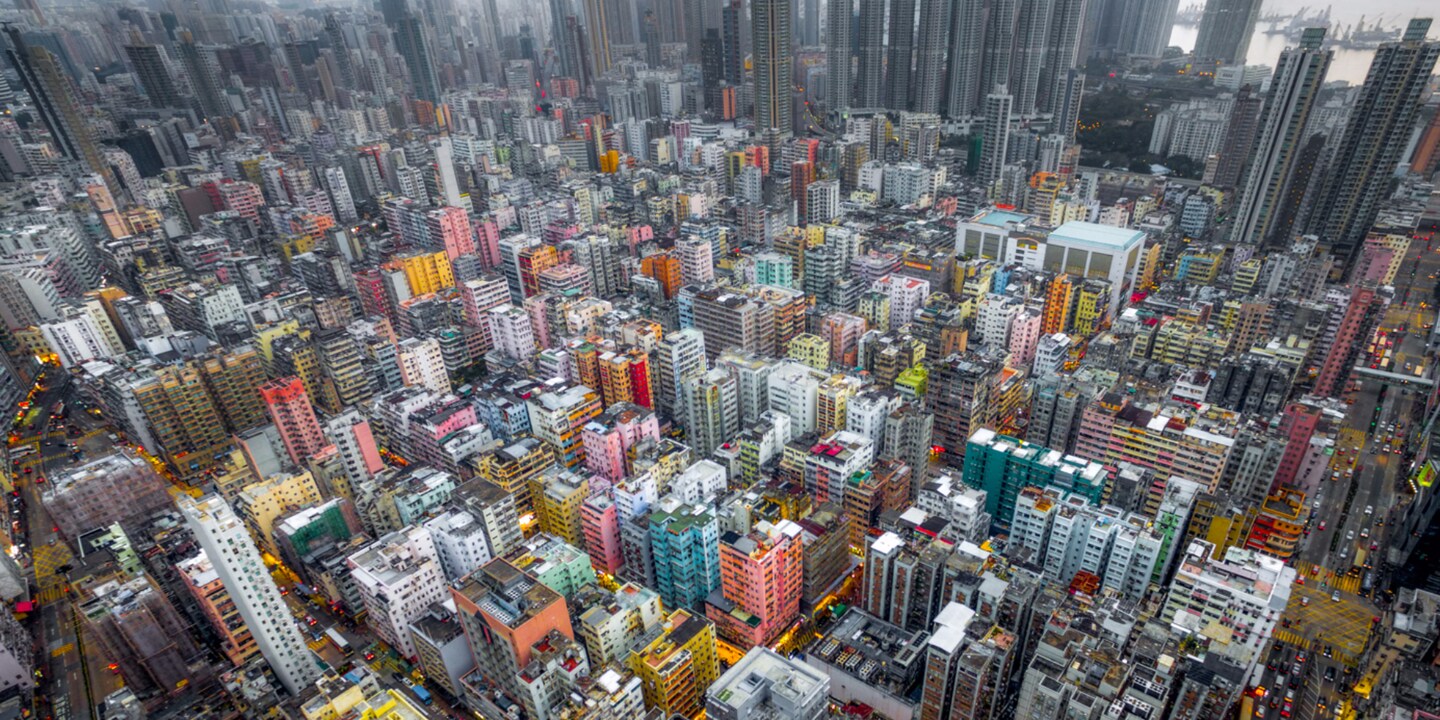 Urban Jungle #05